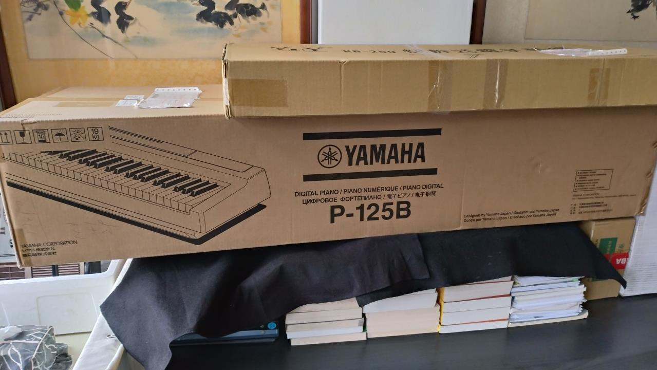 買賣 Yamaha P125電鋼琴 Nike網面輕量男跑鞋 Mo Ptt 鄉公所